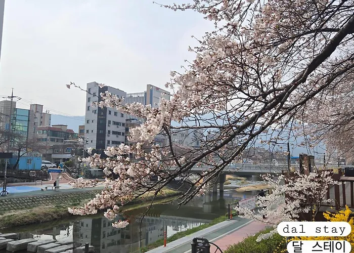 Sadi Maison * 서울특별시